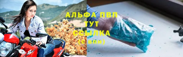 бошки Корсаков
