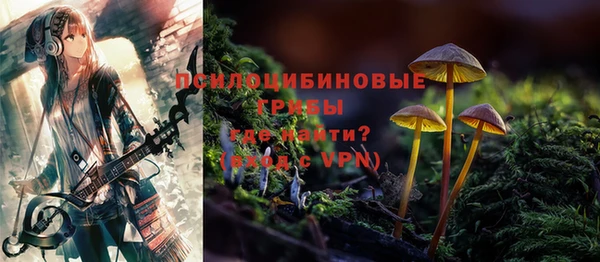 бошки Корсаков
