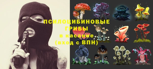 дживик Коряжма